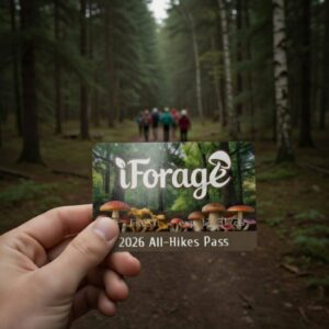 2026 All-Hikes Pass
